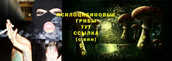 метадон Абаза